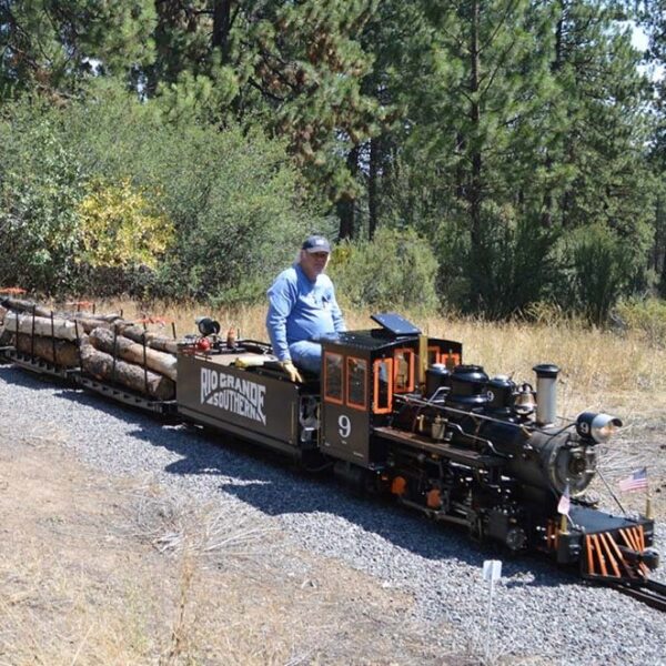 Narrow Gauge Meet