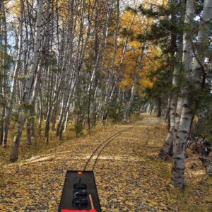 Fall Colors Meet